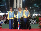GENTLY BORN - Best Kennel In Show